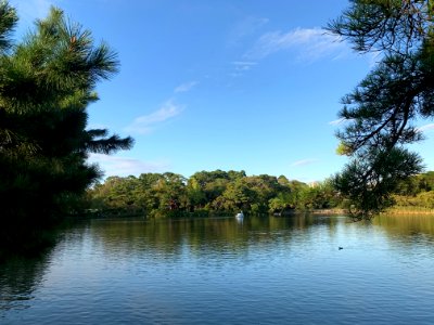 Senzokuike Park in Ota-ku