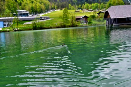 Königssee