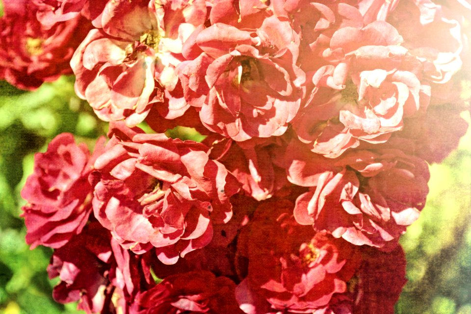 Photos edited