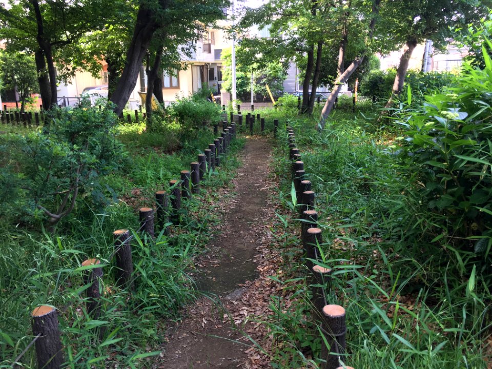 Kurinoki Forest Park in Oizumigakuencho, Nerima-ku