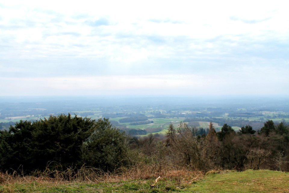 Leith-Hill-april-2016