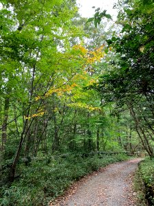Noyamakita-Rokudoyama Park in Mitsugi, Musashimurayama-shi