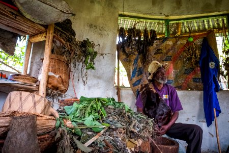 USAID Measuring Impact Conservation Enterprise Retrospective (Uganda; International Gorilla Conservation Program)