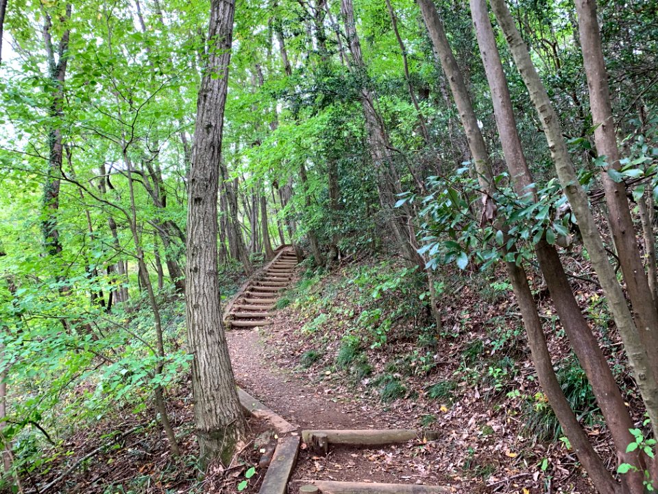 Noyamakita-Rokudoyama Park in Mitsugi, Musashimurayama-shi