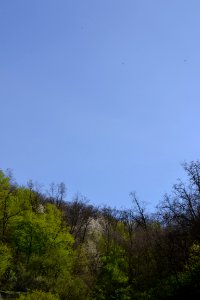 Landscape with nature