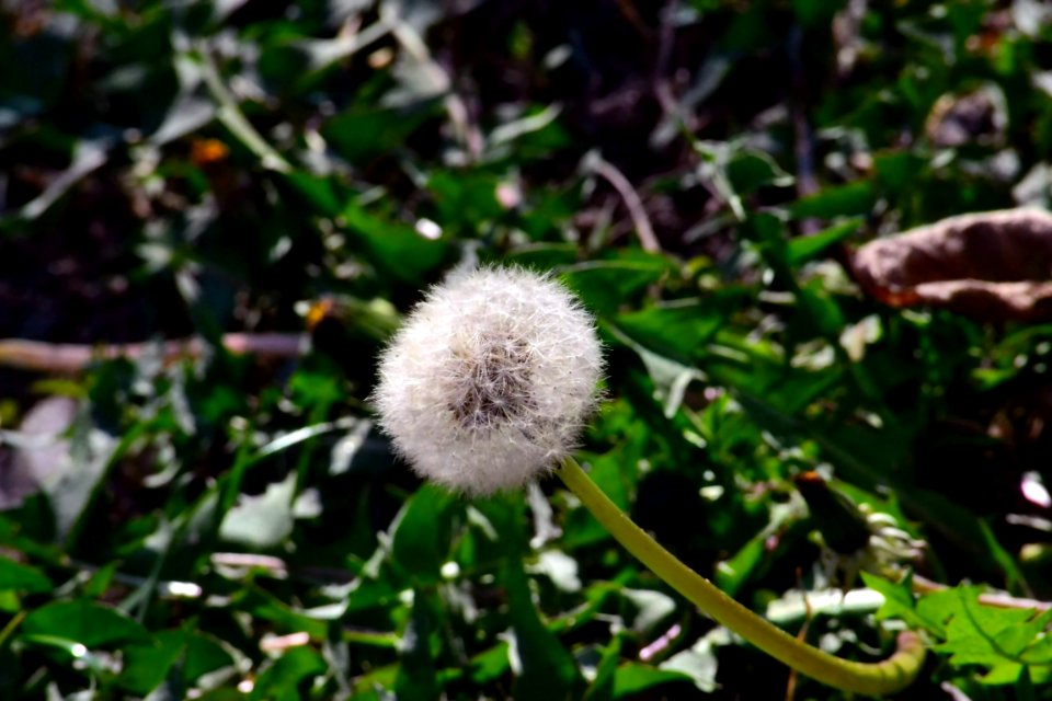 Spring 2014