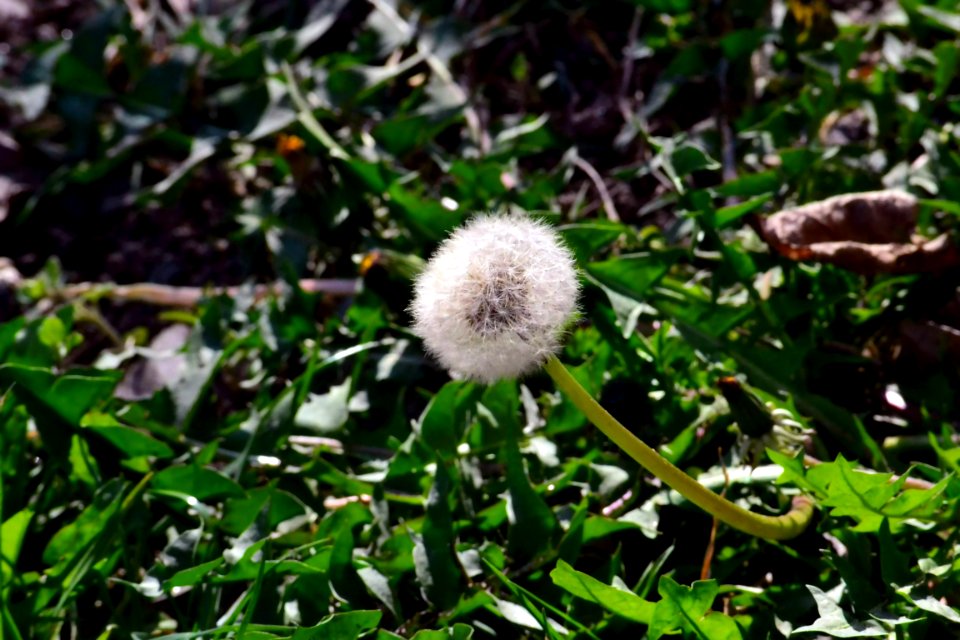 Spring 2014