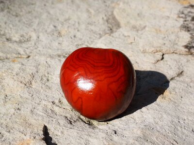 Fruit shine buckeye