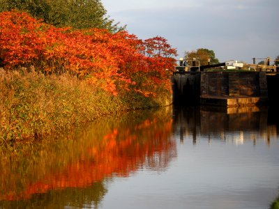 A Blaze of Colour photo