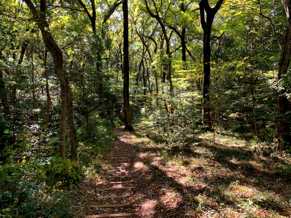 Higashiyamato Park in Higashiyamato-shi