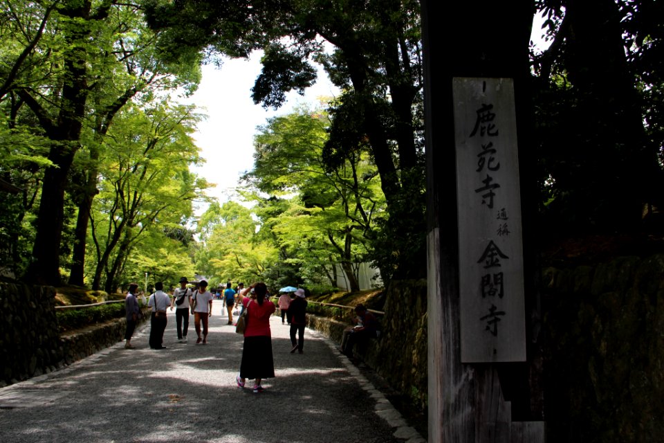 日本 京都大阪5日遊 20140622 0283