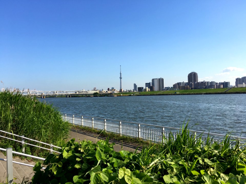 Arakawakosuge Ryokuchi Park and Arakawa River in Katsushika-ku