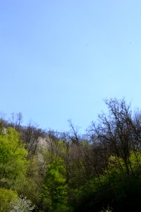 Landscape with nature