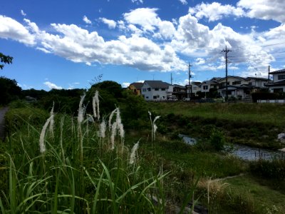 Nakazato in Kiyose-shi