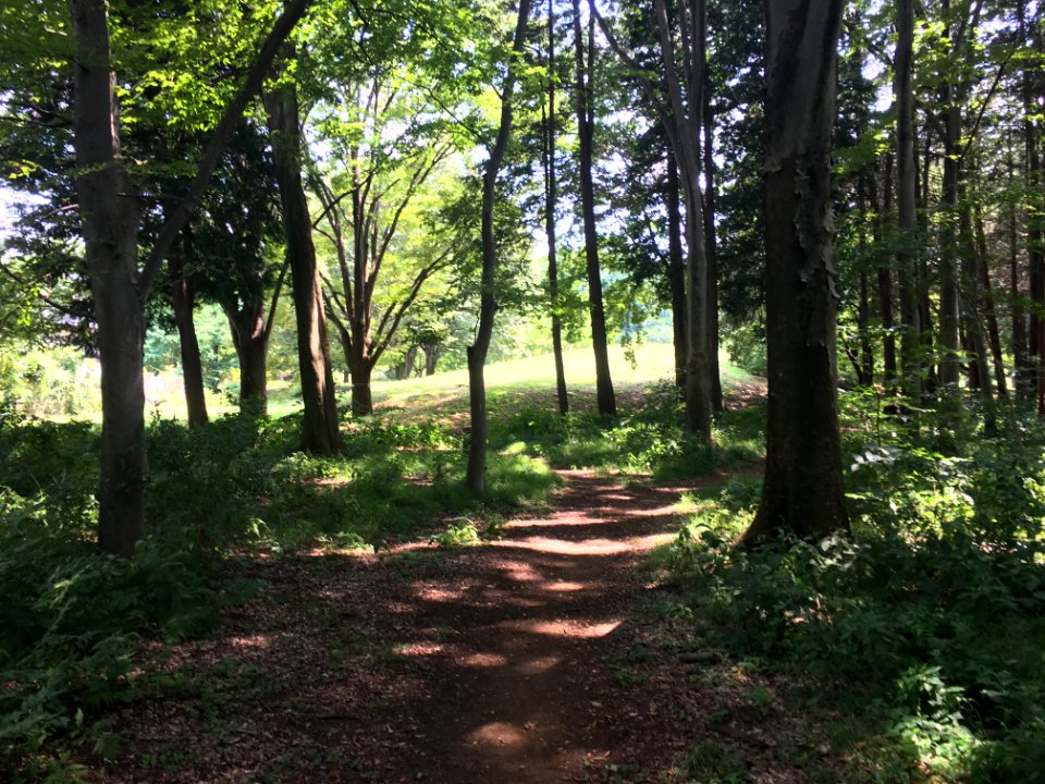 Koganei Park in Kodaira-shi