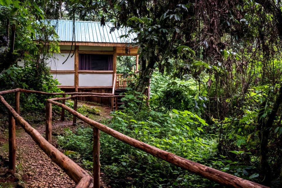 USAID Measuring Impact Conservation Enterprise Retrospective (Uganda; International Gorilla Conservation Program)