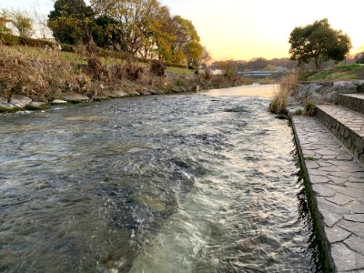 Nakazato in Kiyose-shi