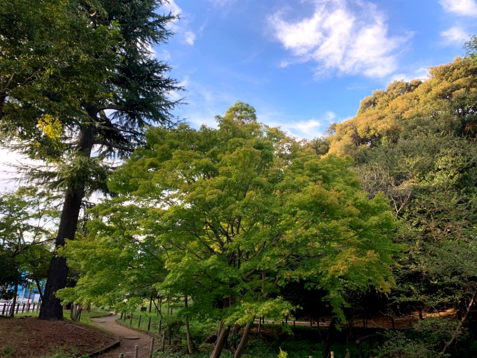 Horai Park in Ota-ku