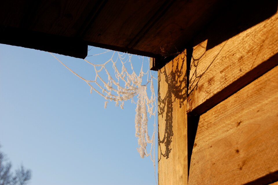 Stable outdoor winter fun