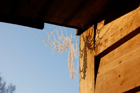 Stable outdoor winter fun