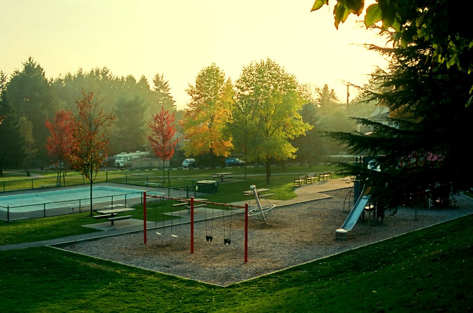 Creepy Playground in Fog