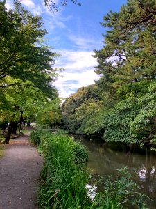 Horai Park in Ota-ku