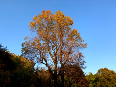 Hikarigaoka Park in Nerima-ku