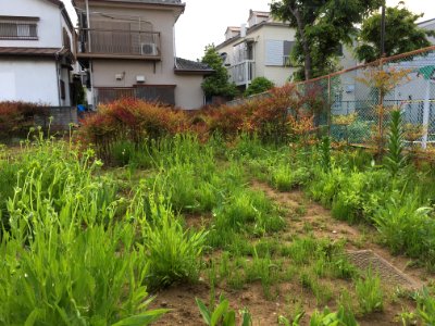 Nishioizumi in Nerima-ku