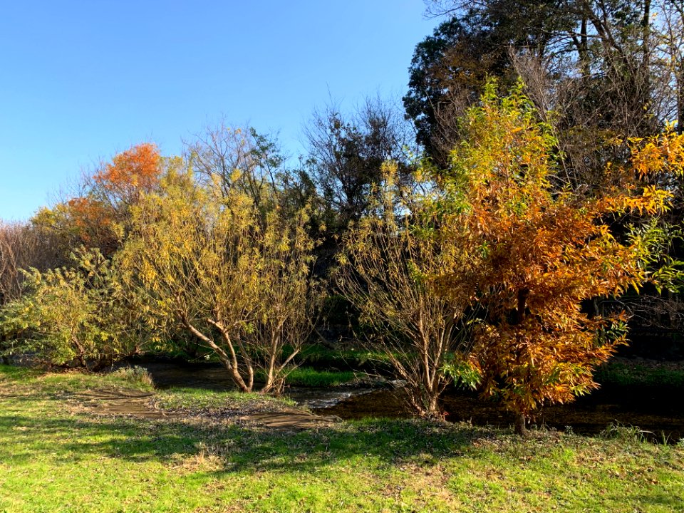 Ochiai River in Minamisawa, Higashikurume-shi