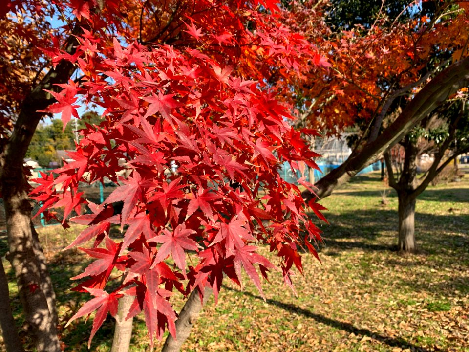 Rokusen Park in Higashikurume-shi
