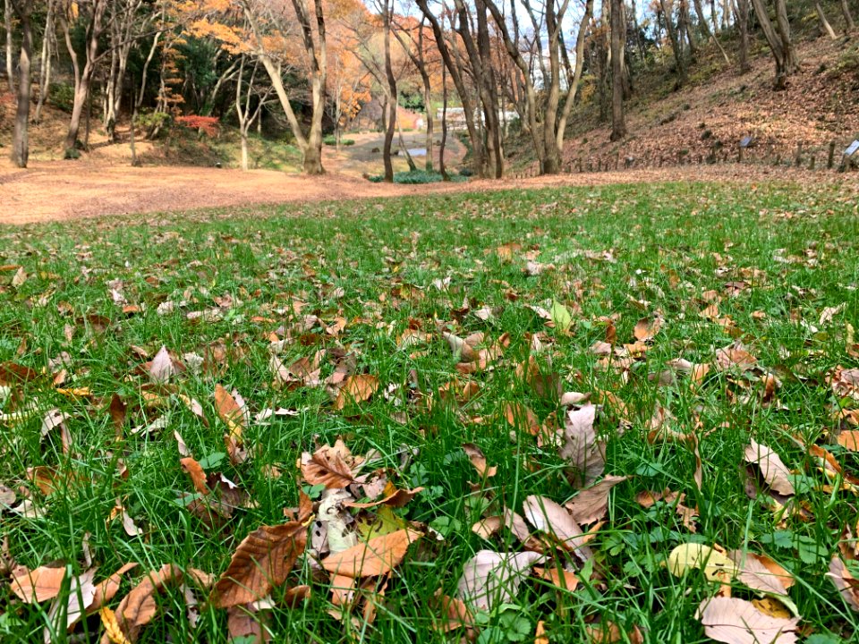 Shiroyama Park in Inagi-shi