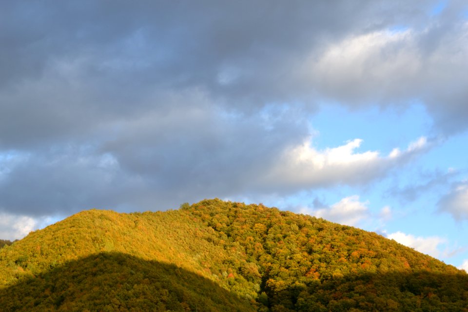 The autumn
