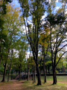 Johoku-Chuo Park in Nerima-ku