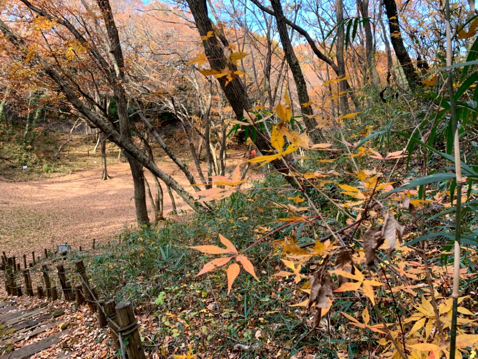 Shiroyama Park in Inagi-shi