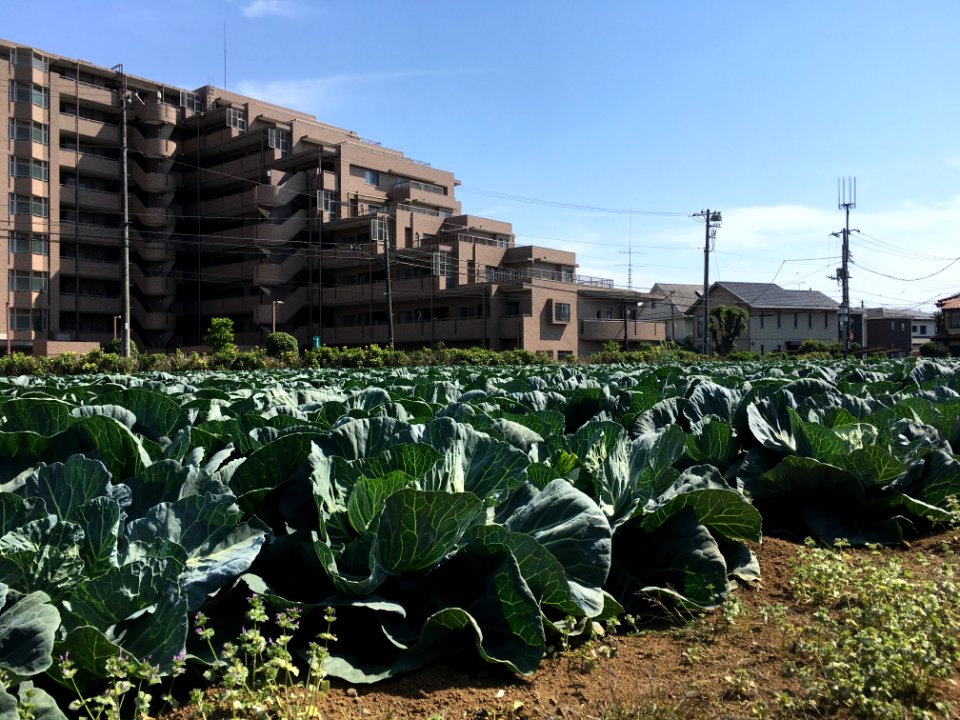 Oizumimachi 3-chome in Nerima-ku