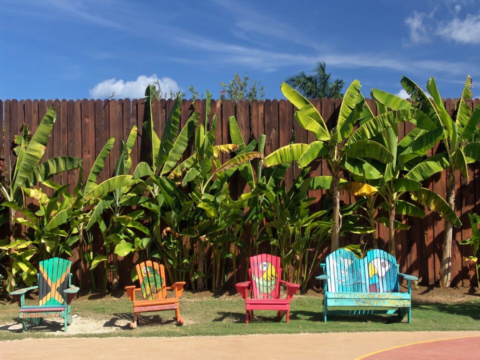 Fence jamaica recovery