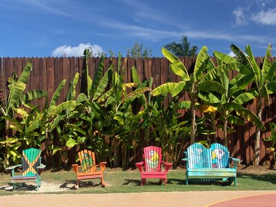 Fence jamaica recovery