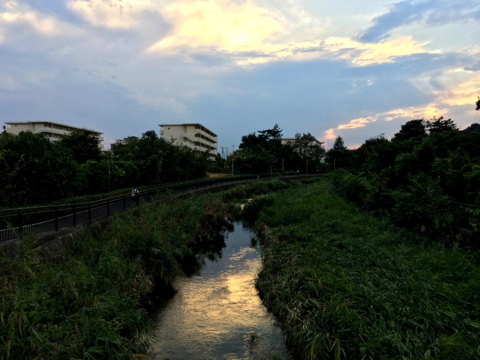 Kurome River in Koyama 2-chome in Higashikurume-shi