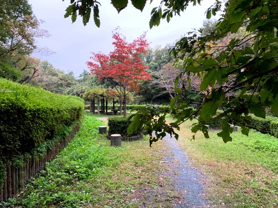 Honmachi in Musashimurayama-shi
