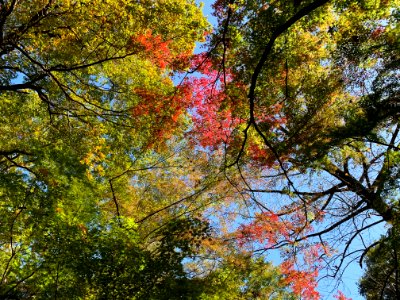 Sayama Park in Higashimurayama-shi