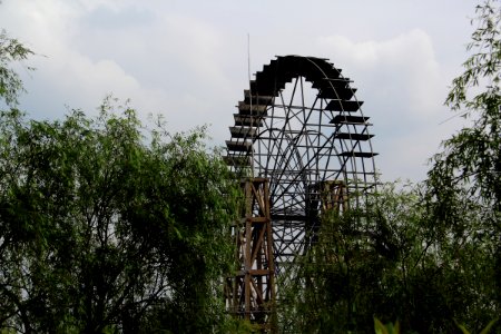 蘇州 太湖濕地公園(夏) The taihu lake wetland park 20150509 1