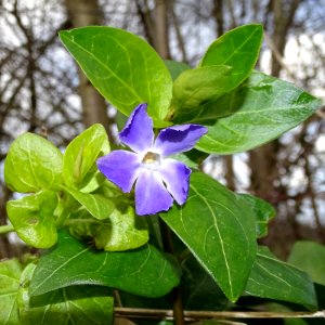 Signs of Spring