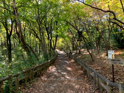 Higashiyamato Park in Higashiyamato-shi