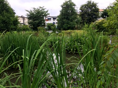 Ochiaigawasuisei Park in Higashikurume-shi