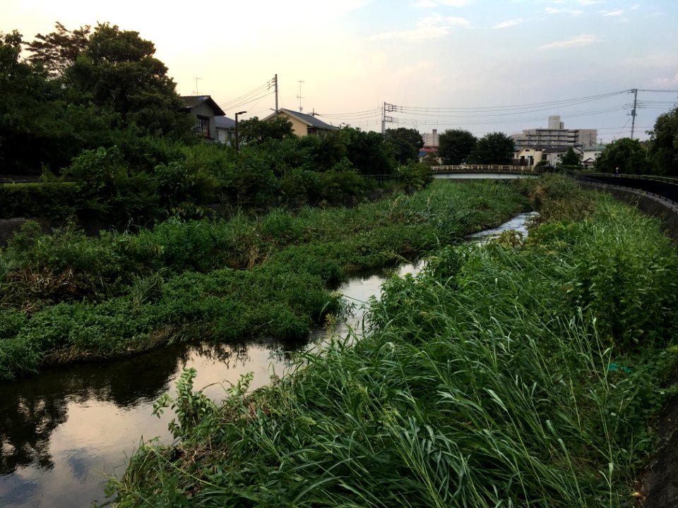 Kurome River in Koyama 2-chome in Higashikurume-shi