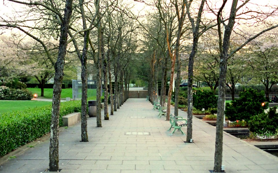 Burnaby Library Walkway