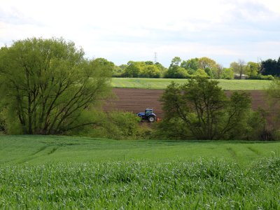 Cheshire Countryside