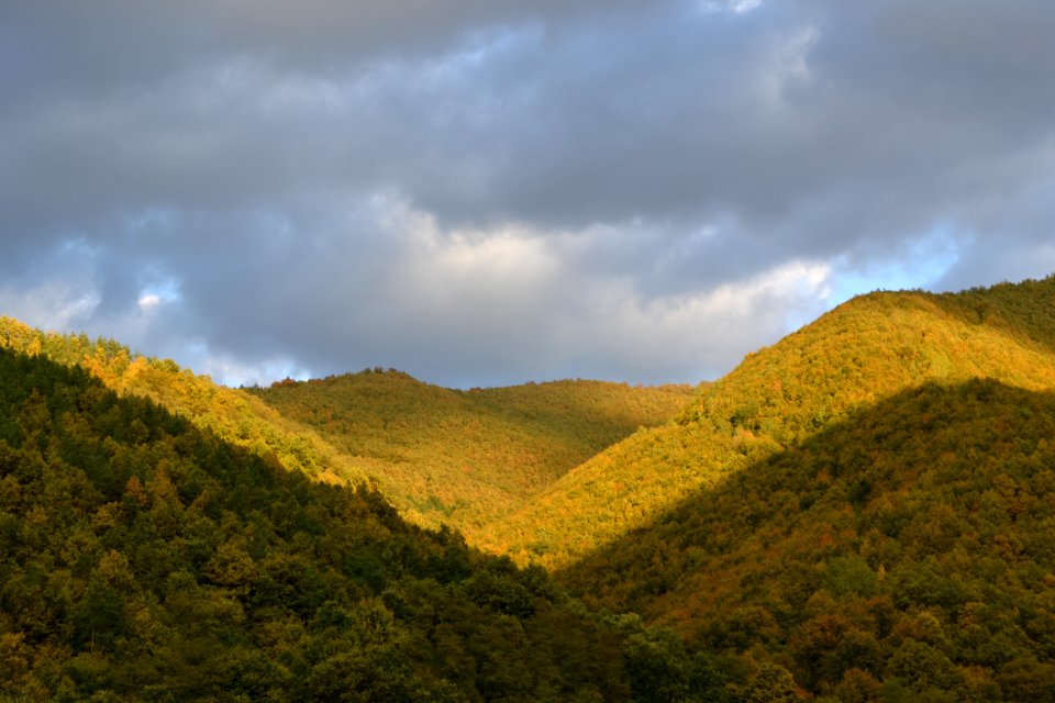 The autumn