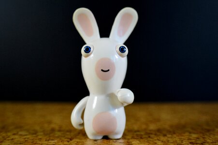 Hare white funny