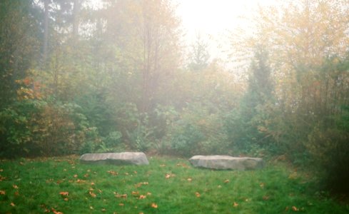 Mysterious Rocks photo